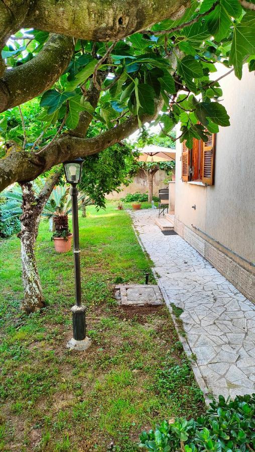Greenhouse_anzio Apartment *