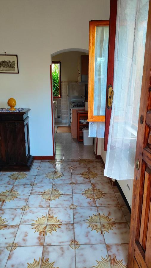 Apartment Greenhouse_anzio *